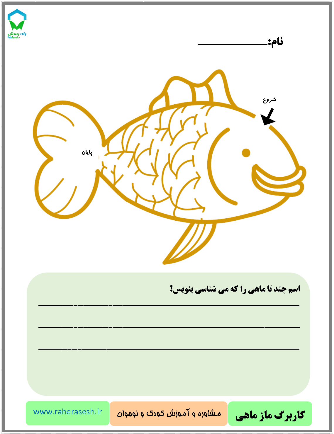 کاربرگ ماز ماهی